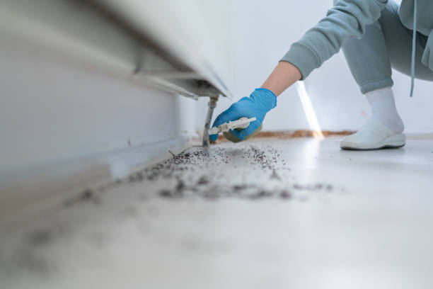 Wildlife Control Services in Premont, TX