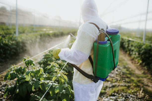 Best Mosquito Control Services  in Premont, TX